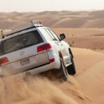 Premium Dubai Desert Safari with BBQ Dinner in the Red Dunes - Key Points
