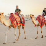 Premium Dubai Desert Safari with Dune Bashing, BBQ, Live Shows - Who Will Love This Tour?