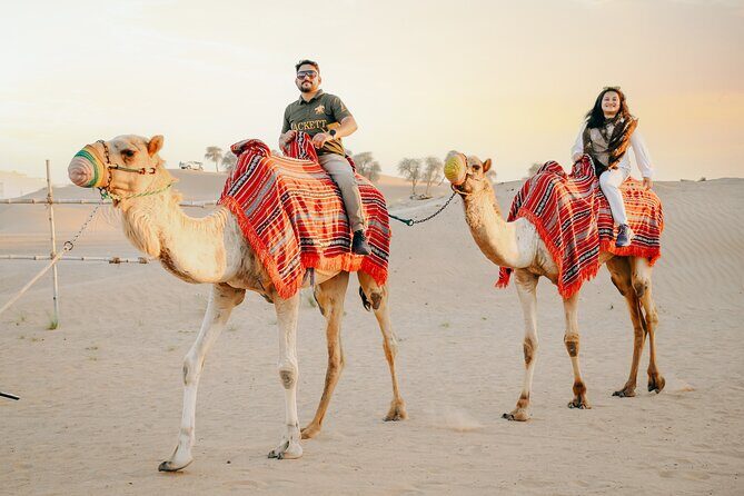 Premium Dubai Desert Safari with Dune Bashing, BBQ, Live Shows - Who Will Love This Tour?