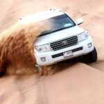 Premium Evening Desert Safari, Quad Bike, Camel & VIP BBQ Dinner - What Travelers Love About This Tour