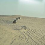 Premium Full-Day Safari, Dune Bash, Camel Ride and BBQ Meal in Desert Camp - What Makes This Tour Stand Out?