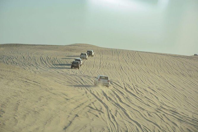 Premium Full-Day Safari, Dune Bash, Camel Ride and BBQ Meal in Desert Camp - What Makes This Tour Stand Out?