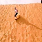 Premium Morning Dessert Safari With Sand Boarding & Dune Bashing - Who Is This Tour Best Suited For?