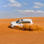 Premium Red Dune Safari with Camel Ride and BBQ in Arabian camp - Possible Considerations