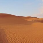 Premium Red Dunes Safari and Camel Safari with BBQ Dinner - Authenticity and Guide Experience