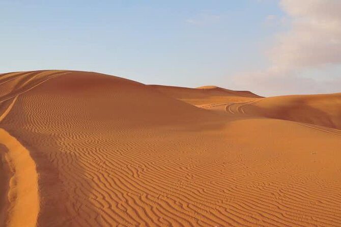 Premium Red Dunes Safari and Camel Safari with BBQ Dinner - Authenticity and Guide Experience