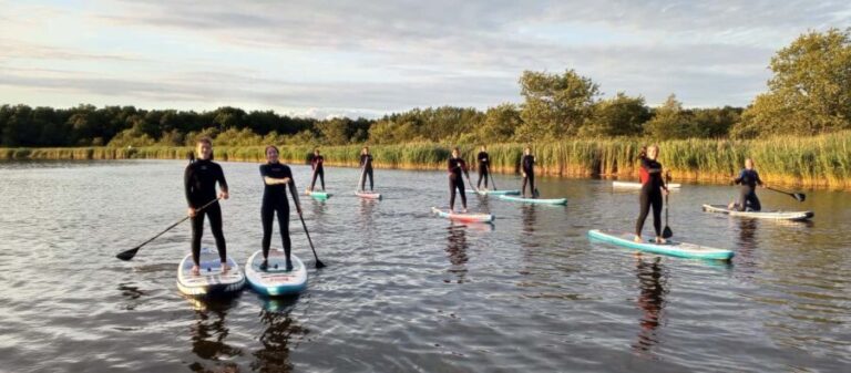 Prerow: Standup paddle sunset tour with picnic - The Sunset and the Wildlife Experience