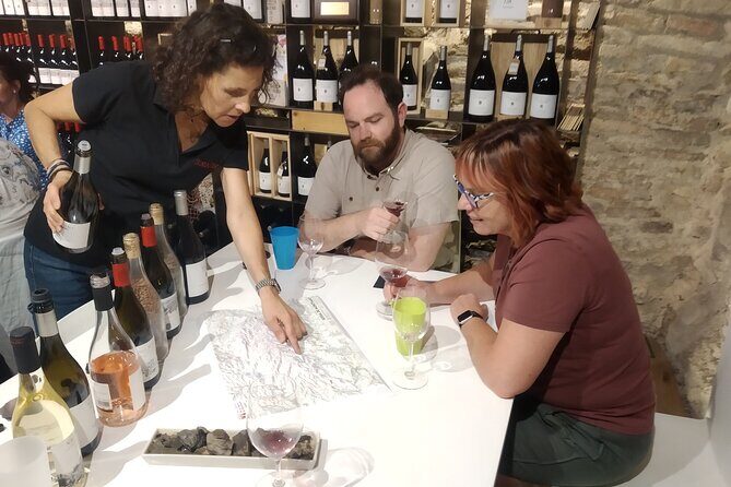 Priorat tour to 3 small wineries and hotel pick-up - Transportation, Group Size, and Overall Comfort