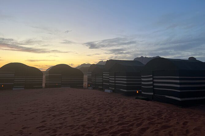 Private 1 Day Wadi Rum Desert Tour - What to Expect During the Day