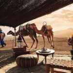 Private 2 Day Tour Casablanca to Marrakech with night in Desert - Transportation and Guides