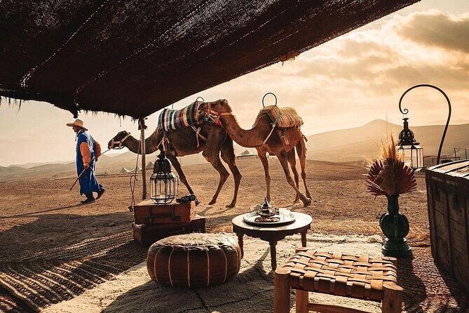 Private 2 Day Tour Casablanca to Marrakech with night in Desert - Transportation and Guides