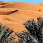 Private 2 Days 1 Night Wahiba Sands Desert and Wadi Bani Khalid Tour - The Unique Charm of Wahiba Sands