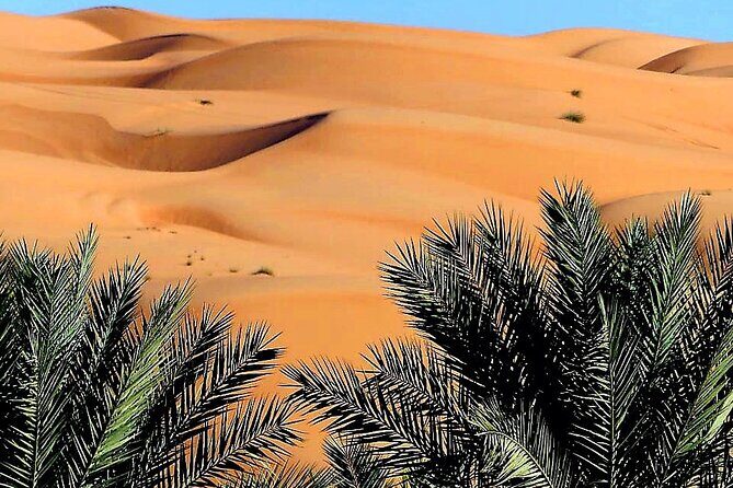Private 2 Days 1 Night Wahiba Sands Desert and Wadi Bani Khalid Tour - The Unique Charm of Wahiba Sands