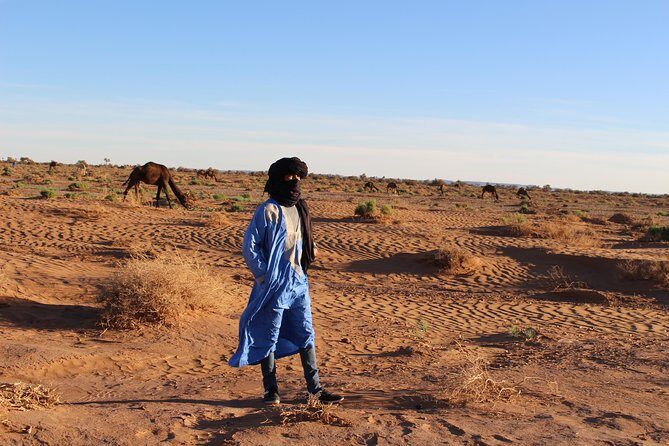 Private 2-days Desert tour from Marrakech to Merzouga Dunes Camel (All-inclusiv) - Who Is This Tour Best For?