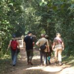 Private 2 Days Volcano Golden Monkey and Bwindi Gorilla Trek - Who Should Consider This Tour?