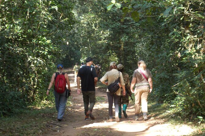 Private 2 Days Volcano Golden Monkey and Bwindi Gorilla Trek - Who Should Consider This Tour?