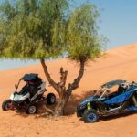 Private 2-Seater Buggy Experience in Dubai - Practical Details & Tips