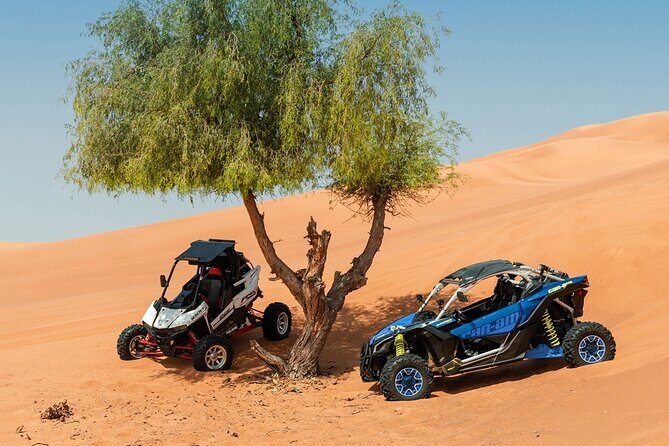 Private 2-Seater Buggy Experience in Dubai - Practical Details & Tips