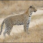 Private 3 Day Tour to Serengeti National Park - Detailed Itinerary Breakdown