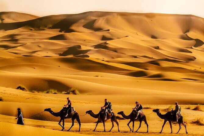 Private 3 Days Desert Exploration Trip from Errachidia - Who Is This Tour Best For?