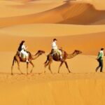 Private 3 days desert tour from Marrakech - What Makes This Tour Stand Out?