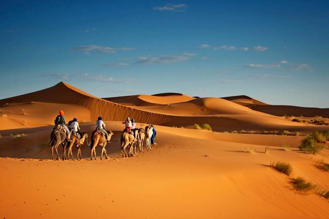 Private 3 Days Desert trip from Marrakech to Merzouga and back to Fez - Practical Details and Tips