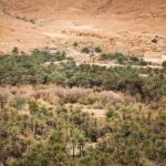 Private 3 Days Tour from Marrakech to Merzouga - What’s Included and What to Consider