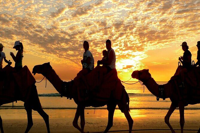 Private 3 Hours Safari Quad Bike and Camel Ride Experience - What Makes This Tour Stand Out?