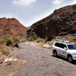 Private 4x4 Desert Drive, Wadi Shawaka Pool Visit with Lunch box - Who Should Consider This Experience?