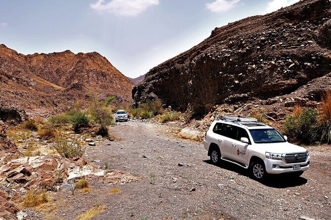Private 4x4 Desert Drive, Wadi Shawaka Pool Visit with Lunch box - Who Should Consider This Experience?