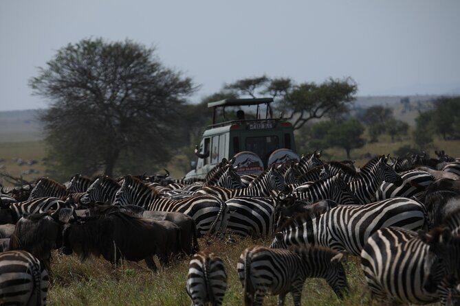 Private 6 Day Great Wildebeest Migration Ndutu Calving Season - Who This Tour Is Perfect For