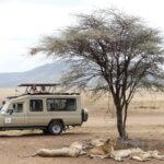 Private 6-Day Tarangire Manyara Crater and Serengeti with Mid-Range Lodges - Why This Tour Offers Great Value
