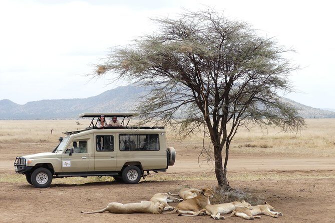 Private 6-Day Tarangire Manyara Crater and Serengeti with Mid-Range Lodges - Why This Tour Offers Great Value