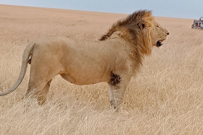 Private 6-Days Tour Exploring in Amboseli & Nakuru National Park - Key Points