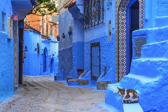 Private 6-Days Tour from Casablanca to Chefchaouen -Fes-Merzouga and Marrakech - Final Thoughts
