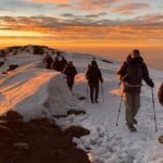 Private 8-Day Kilimanjaro Trek on Lemosho Route from Moshi - Day-by-Day Breakdown: What You Can Expect