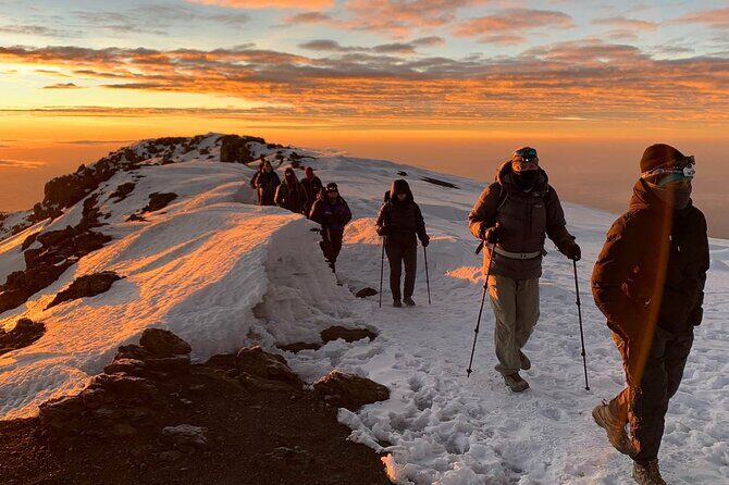 Private 8-Day Kilimanjaro Trek on Lemosho Route from Moshi - Day-by-Day Breakdown: What You Can Expect