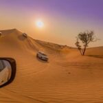 Private Abu Dhabi Desert Safari From Dubai with Hot BBQ Dinner - What Makes This Desert Safari Stand Out?