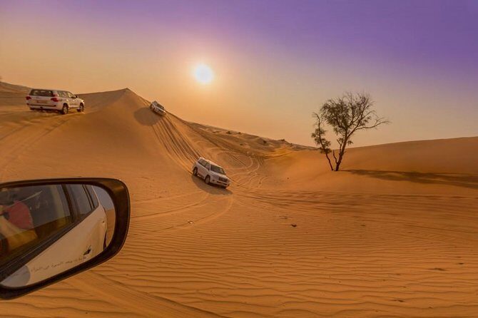 Private Abu Dhabi Desert Safari From Dubai with Hot BBQ Dinner - What Makes This Desert Safari Stand Out?
