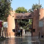 Private AbuDhabi City Tour - Potential Considerations