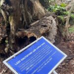 Private Aburi Hill Guided Tour - Practical Details and What You Should Know