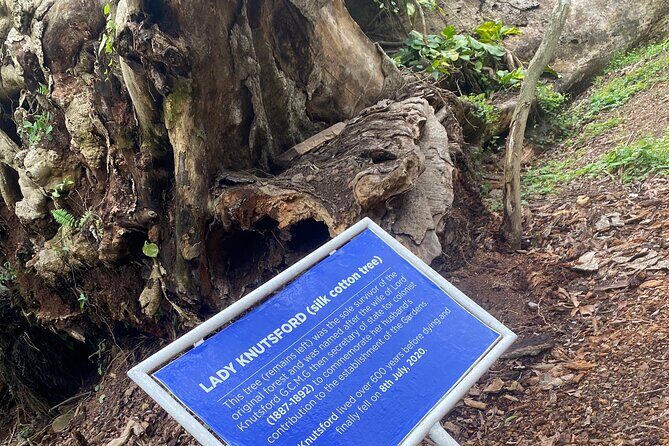 Private Aburi Hill Guided Tour - Practical Details and What You Should Know