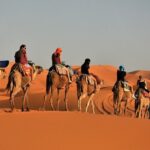 Private Adventure Red Dune Desert Safari With BBQ Dinner & Shows - Review Highlights & Authentic Insights
