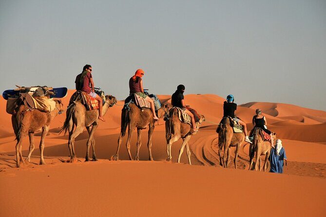 Private Adventure Red Dune Desert Safari With BBQ Dinner & Shows - Review Highlights & Authentic Insights