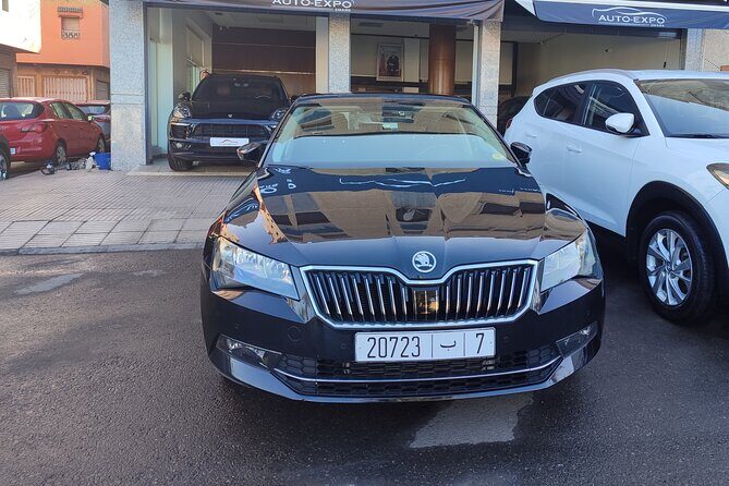 Private Airport Transfer Arrival & Departure - Meeting Points and Accessibility