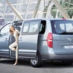 Private Airport Transfer to Cairo and Giza Hotels - The Sum Up