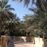 Private Al Ain tour from Dubai with professional Driver - What Travelers Love About This Experience