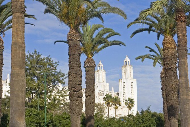 Private Arrival Transfer: Casablanca Airport to Hotel - The Reality from Real Travelers