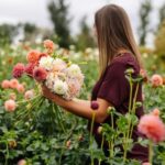 Private Bainbridge Island Discovery and Whiskey Tour - The Whiskey Tasting: A Flavorful Finale