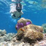 Private Boat Rental in Sharm EL Sheikh Aboard Barbarosa - Practical Details for Planning